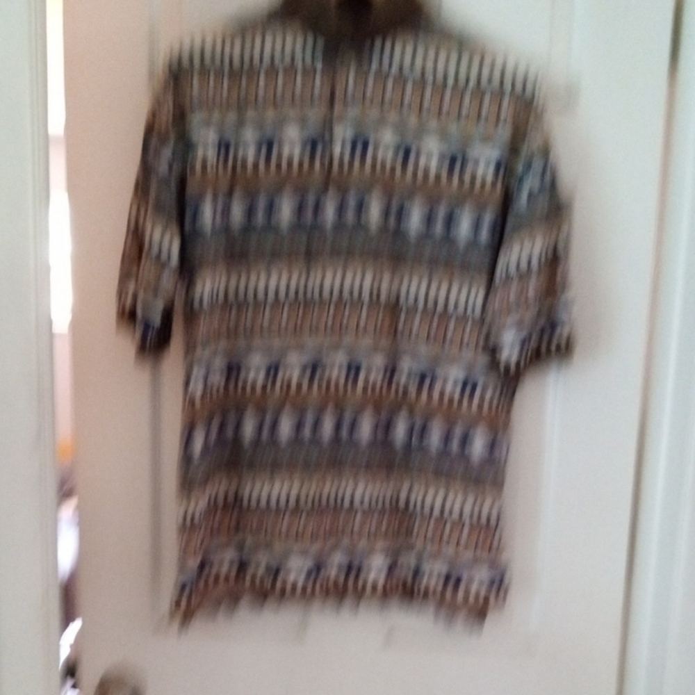 Tabasco Casual Button Down Shirt in Blue and Brown